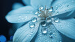 Macro close-up shot of blue flower petals with dewdrops. Beautiful flower with raindrops on the petal. Creative wallpaper, screensaver with charming flora. 