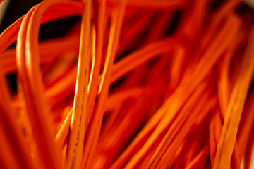 Poster - Fiber optic cable prepared for connection.