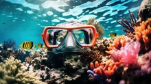 A snorkel and a mesmerizing coral reef filled with a variety of colorful fish.