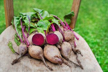 Wall Mural - Beetroot