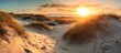 Panorama of dunes on the coast of the Baltic Sea