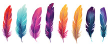 Colorful Feathers Isolated On White
