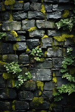 Moss On Stone Wall Background
