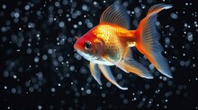 A Gold Fish In A Beautiful Aquarium.Generative AI