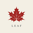 maple leaf line art logo design vector.