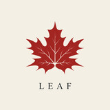 Fototapeta  - maple leaf line art logo design vector.