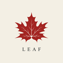 Maple Leaf Line Art Logo Design Vector.