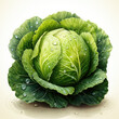 Watercolor Cabbage Clipart illustration Generative Ai