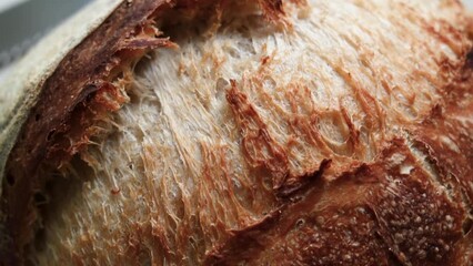 Wall Mural - Closeup sourdough bread, traditional bread made with wild yeast