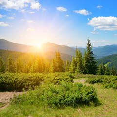 Wall Mural - Bright sunrise in mountains and blue sky with white clouds.