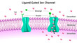 Ligand Gated Ion Channels - Ionotropic Receptor - Transmembrane Ion Channel Protein - Na, K, Ca, Cl - Medical Vector Illustration