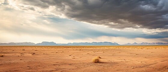 Wall Mural - Stormy sky over the desert landscape background