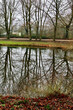 Bäume Spiegelung im Wasser Teich