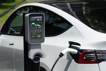 EV electric car charging in green sustainable city outdoor garden in summer. Urban sustainability lifestyle by green clean rechargeable energy of electric BEV vehicle innards