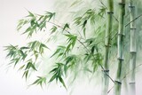 watercolor bamboo painting bamboo Background Bamboo watercolor stems and leaves