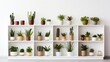 A minimalist bookcase featuring an assortment of potted plants of different sizes and shapes, neatly arranged on sleek shelves against a clean white background.
