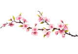 Fototapeta Nowy Jork - Sakura blossom branch. Falling petals, flowers. Isolated flying realistic japanese pink cherry or apricot floral elements fall down vector background. Cherry blossom branch, flower petal illustration