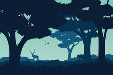 Dark Lush Jungle Forest Wildlife Silhouette With Blue Tint 