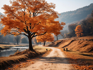 Poster - autumn landscape with trees