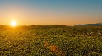 Wall Mural - beautiful grass field with sunset or sunrise sky. Countryside landscape view background.