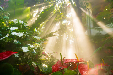 Wall Mural - Close-up of lush green tropical vegetation jungle in sunshine. Tropical nature background.