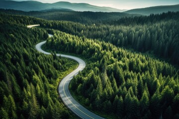 Sticker - Aerial view of winding road through coniferous forest in summer, Summer Pine Forest and Winding Curvy Road. Top Down Birds Eye View, AI Generated