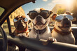 Funny cute dog and friends in car go to travel.