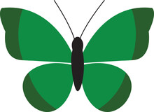 Green Butterfly. Simple Illustration Of Green Butterfly Vector. Colorful Butterfly Vector