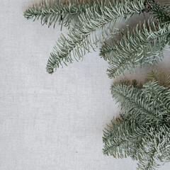 Spruce conifer branches on neutral beige gray soft linen texture fabric background, winter aesthetic minimal business branding blog design template in Nordic style