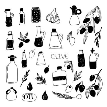 Vector set of olive branches and olive oil.