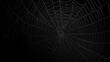 © Yahor Shylau  - white cobweb on a black background in the dark.