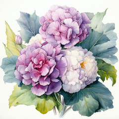 Watercolor Cauliflower Clipart illustration Generative Ai