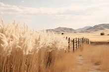 Scenic Countryside Landscape Photograph Of A Neutral Beige Western Farm Backdrop