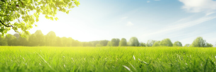 wide outdoor blue sky white clouds lawn trees background material