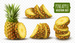 Realistic pineapple. Ananas slices, half and whole fruit, juice tropical background, green natural fresh food with leaf. Juicy vitamin dessert packaging design. Vector isolated illustration