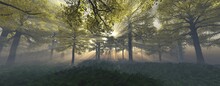 Autumn Forest In The Rays Of The Rising Sun, Autumn Park In The Fog, Autumn Trees In The Haze, 3D Rendering
