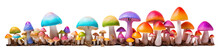 Multicolored Hallucinogenic Mushrooms, Cut Out
