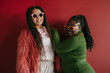 © gstockstudio - Two fashionable plus size African woman with braided hair while standing on red background together