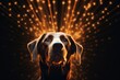 An enlightened dog harnessing celestial energy