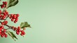  a branch of holly with red berries and green leaves on a light green background with copy - space in the middle of the image for a christmas card ornament.