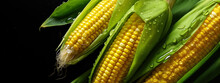 Fresh Corn Vegetables, With Water Drops Over It, Closeup Macro Detail. Generative AI