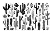 Hand Drawn Cactus Plant Doodle Set. Vintage Style Black And White Cartoon Cacti Houseplant Illustration Collection. Isolated Element Of Nature Desert Flora, Mexican Garden Bundle.