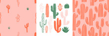 Hand Drawn Cactus Plant Doodle Seamless Pattern Set. Vintage Style Cartoon Cacti Houseplant Background. Nature Desert Flora Texture, Garden Print. Natural Interior Graphic Decoration Wallpaper.