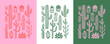 © Dedraw Studio - Hand drawn cactus plant doodle set. Vintage style cartoon cacti houseplant illustration collection. Isolated element of nature desert flora, mexican garden bundle. Natural interior graphic decoration.