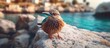 In Europe, by the beach, nestled among the natural rocks, a cute bird with mesmerizing eyes and colorful feathers poses for a portrait, embodying the beauty of nature and the enchanting environment of