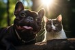 Conceptual portrait photography of a smiling french bulldog being with a pet cat against a forest background. With generative AI technology