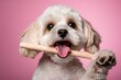 cute bulldog holding a bone in its mouth in a pastel or soft colors background