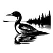  Loon Bird Vector Illustration