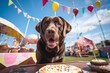 Medium shot portrait photography of a happy labrador retriever eating a birthday cake against hot air balloon festivals background. With generative AI technology