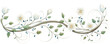 White flowers on a vine, transparent background (PNG)